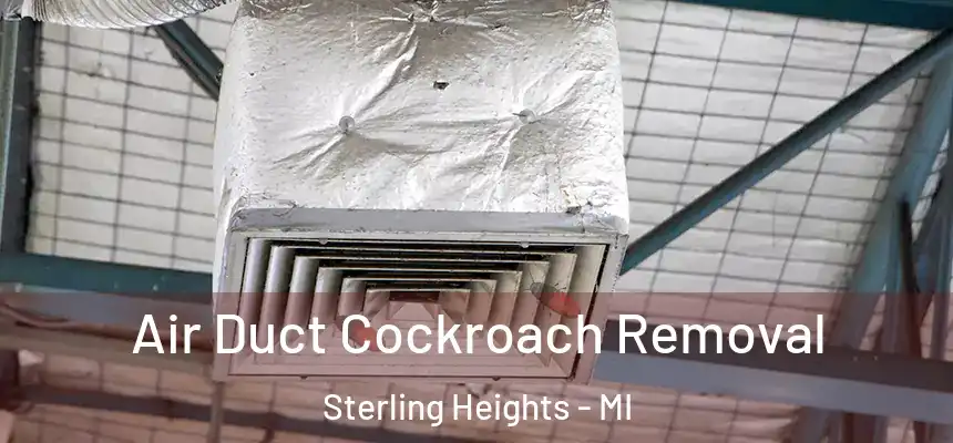 Air Duct Cockroach Removal Sterling Heights - MI