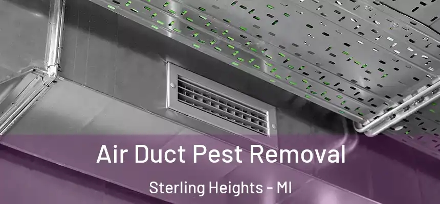 Air Duct Pest Removal Sterling Heights - MI