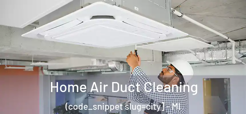  Home Air Duct Cleaning (code_snippet slug=city] - MI
