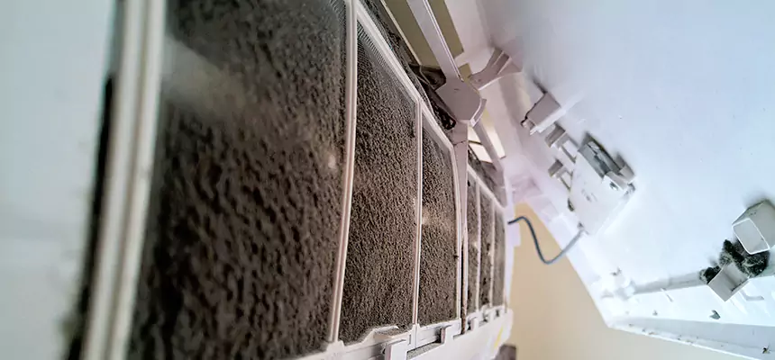 Preventive Air Duct Bacteria Removal in Sterling Heights