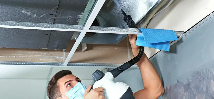 Our Air Duct Rodent Removal Services in Sterling Heights, MI