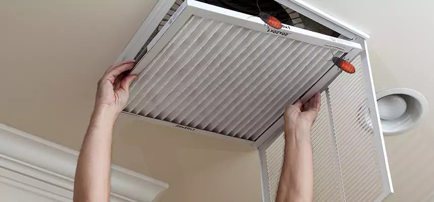 Our Insect Removal from Air Ducts Services in Sterling Heights, MI
