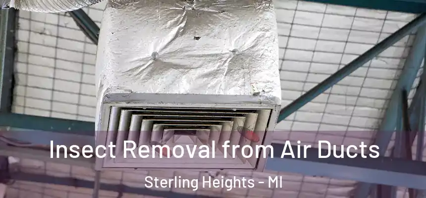 Insect Removal from Air Ducts Sterling Heights - MI