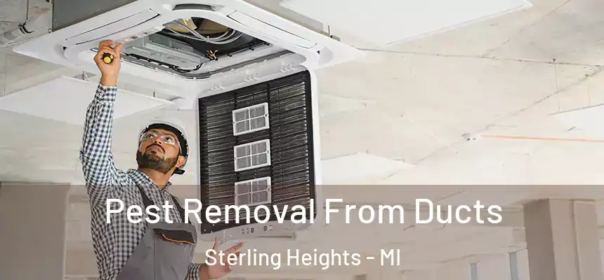 Pest Removal From Ducts Sterling Heights - MI