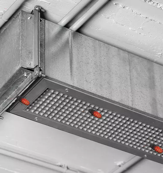 About Air Duct Cockroach Removal in Sterling Heights, MI
