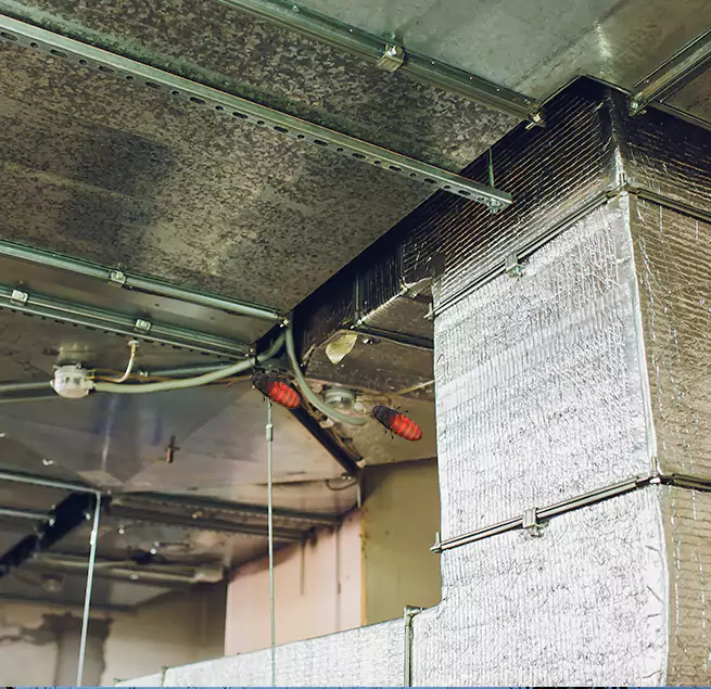 Why Homeowners & Businesses Trust Us in Sterling Heights, MI?