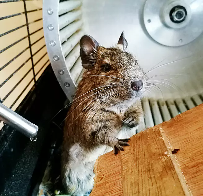 Why Homeowners & Businesses Trust Us Sterling Heights, MI?