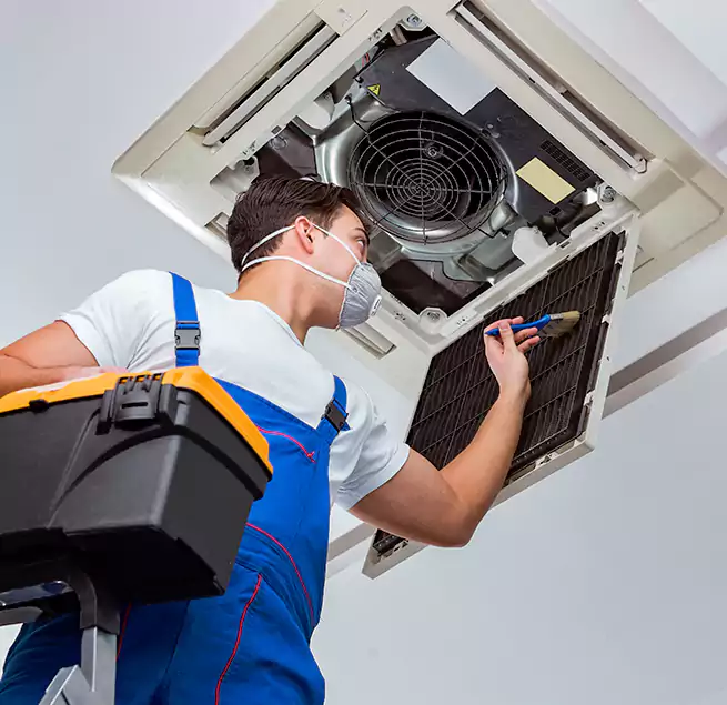 Why Homeowners & Businesses Trust Us in Sterling Heights, MI