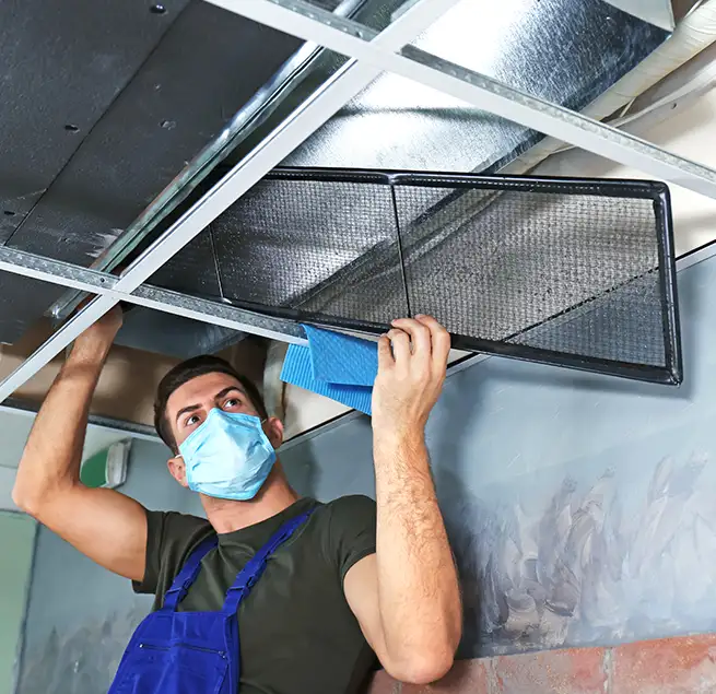 Why Homeowners & Businesses Trust Us in Sterling Heights, MI?