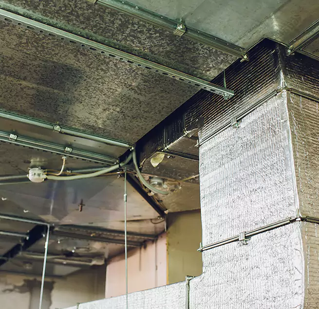 Why Homeowners & Businesses Trust Us in Sterling Heights, MI?