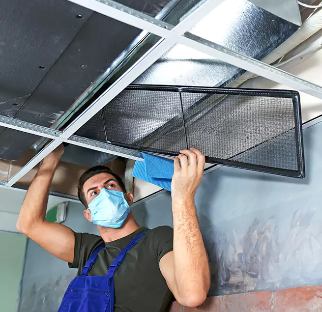  Why Homeowners Businesses Trust Us  in Sterling Heights, MI?